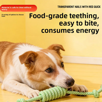 Puppy Toys